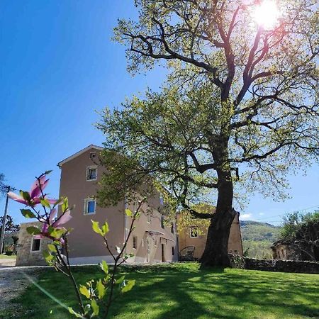 Casa Quieto Βίλα Motovun Εξωτερικό φωτογραφία