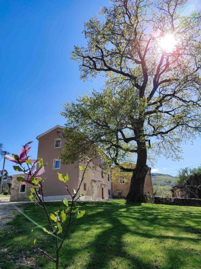 Casa Quieto Βίλα Motovun Εξωτερικό φωτογραφία